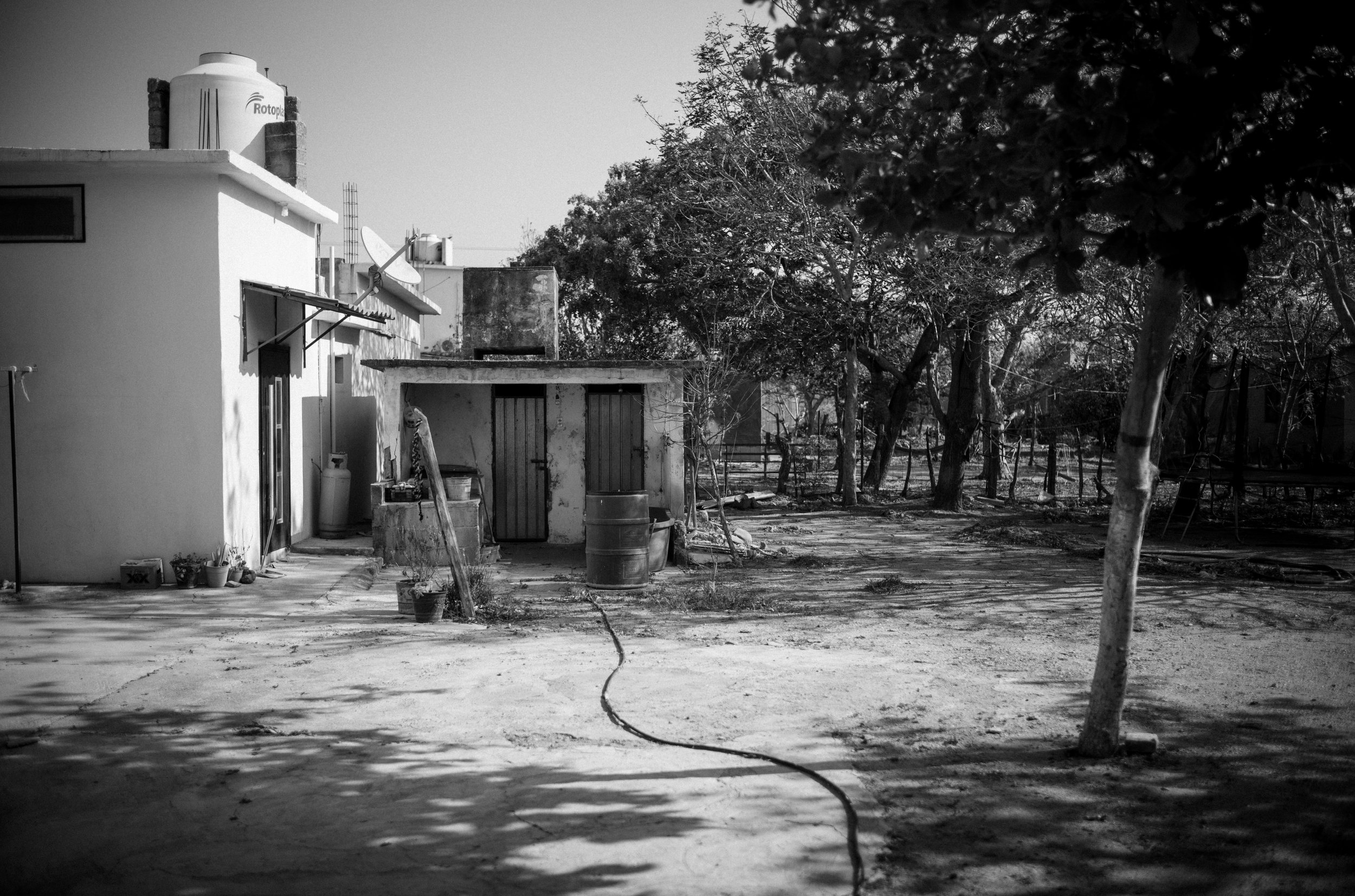 L1001846.jpg