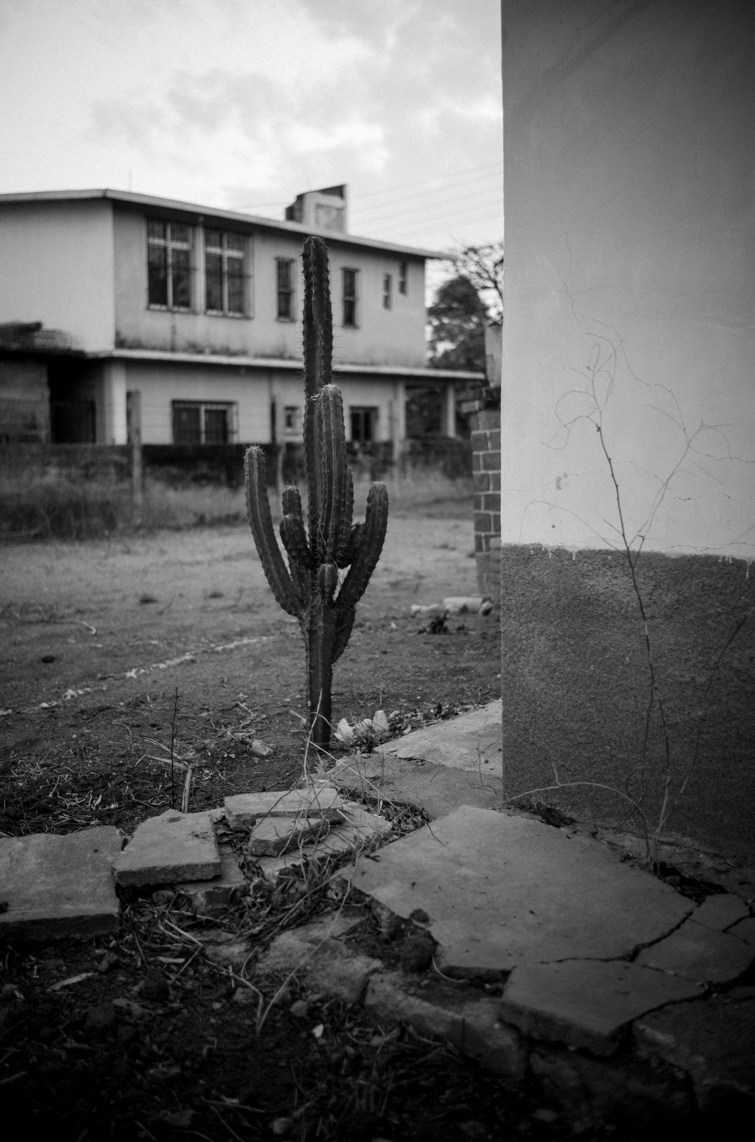 L1001845.jpg