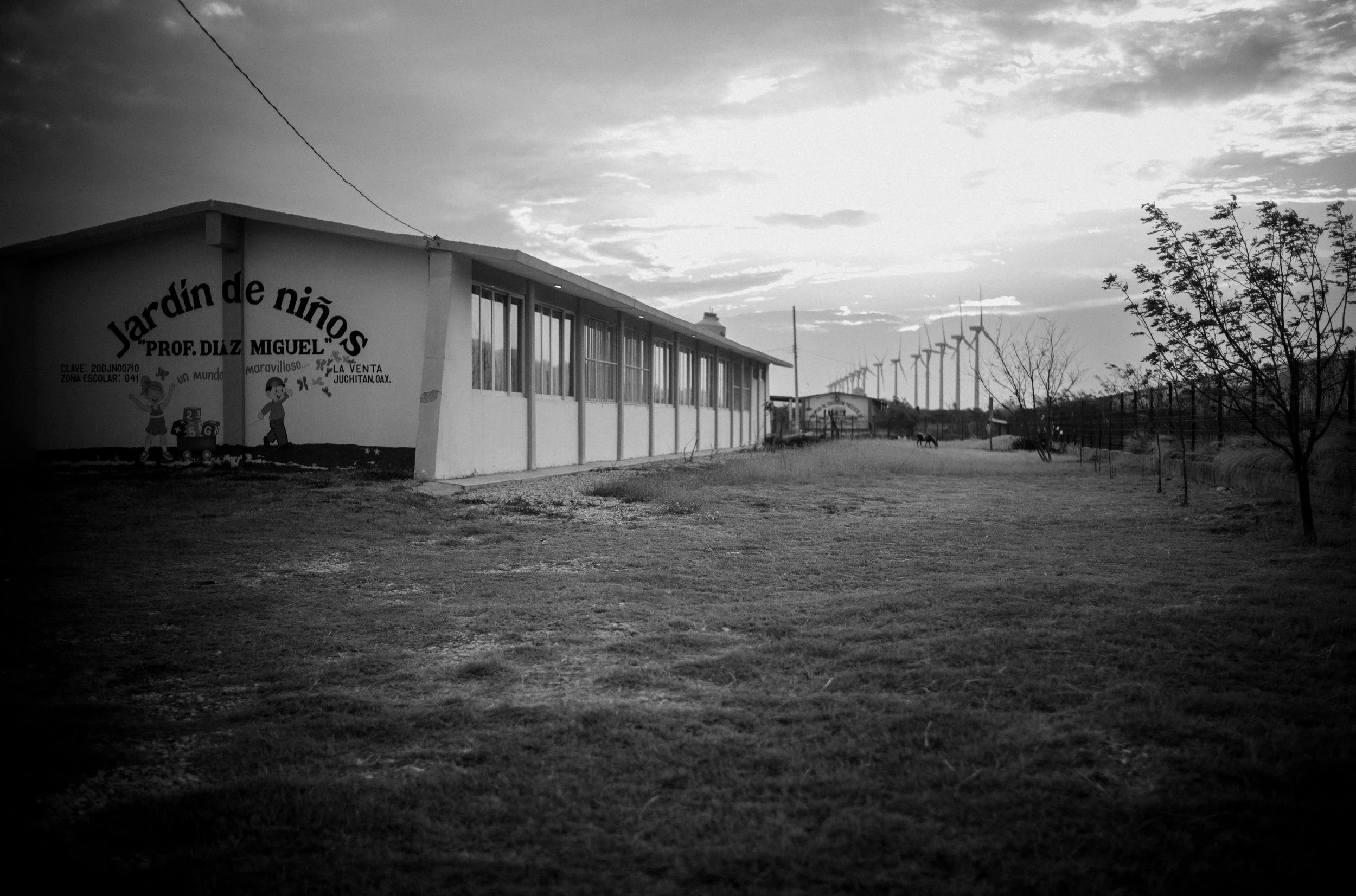L1001839.jpg