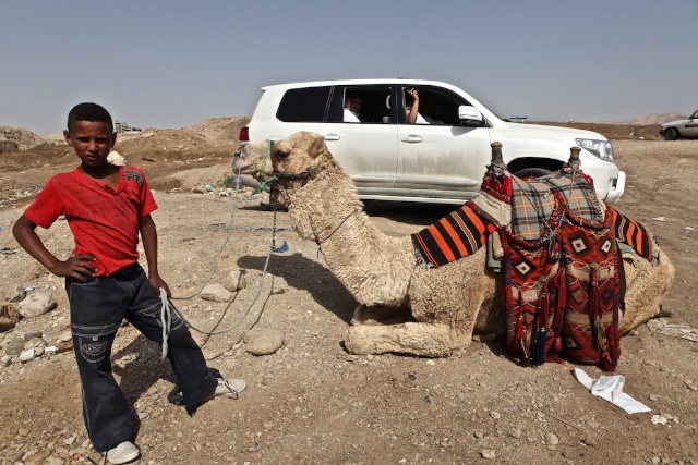 Bedouin Kid and His Camel, Dead Sea Valley, Jordan 