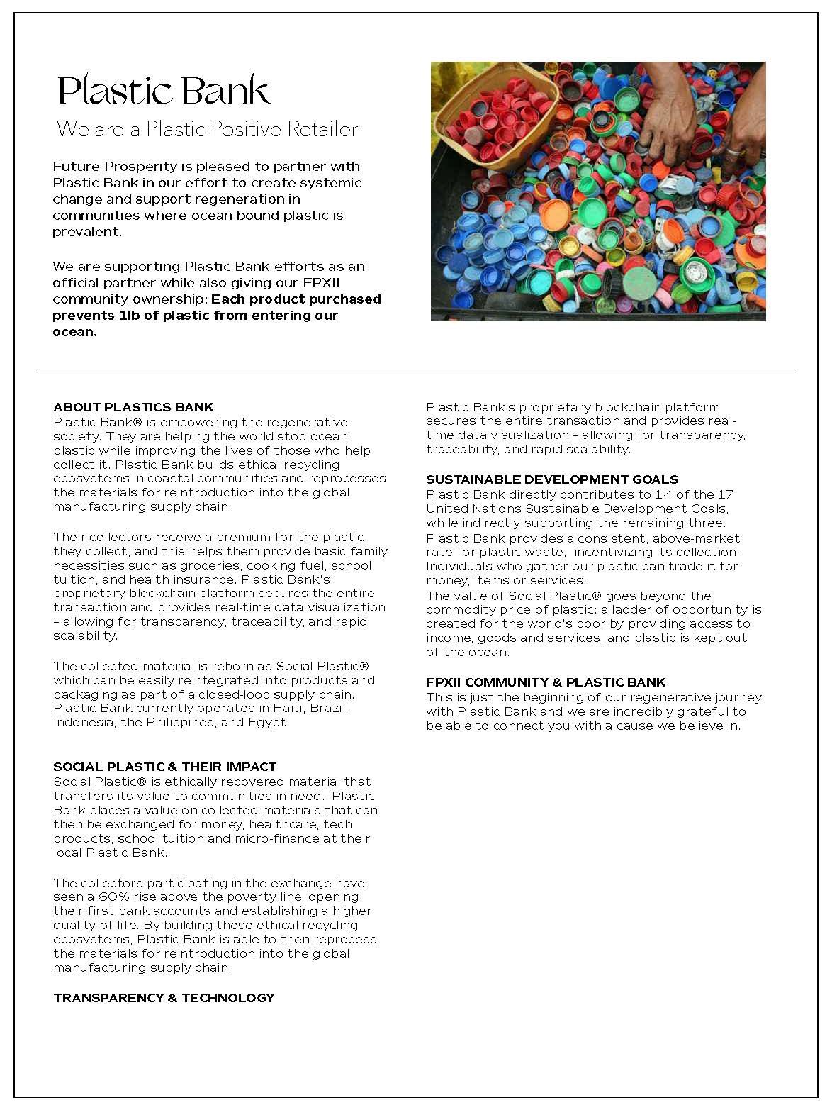 FPXII_FullVision_Nov2020-compressed_Page_09.jpg