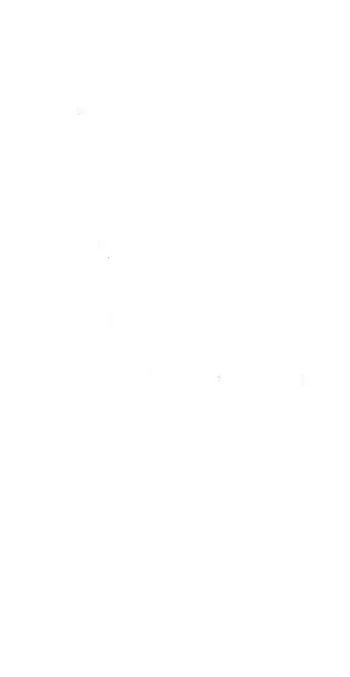 white.jpg
