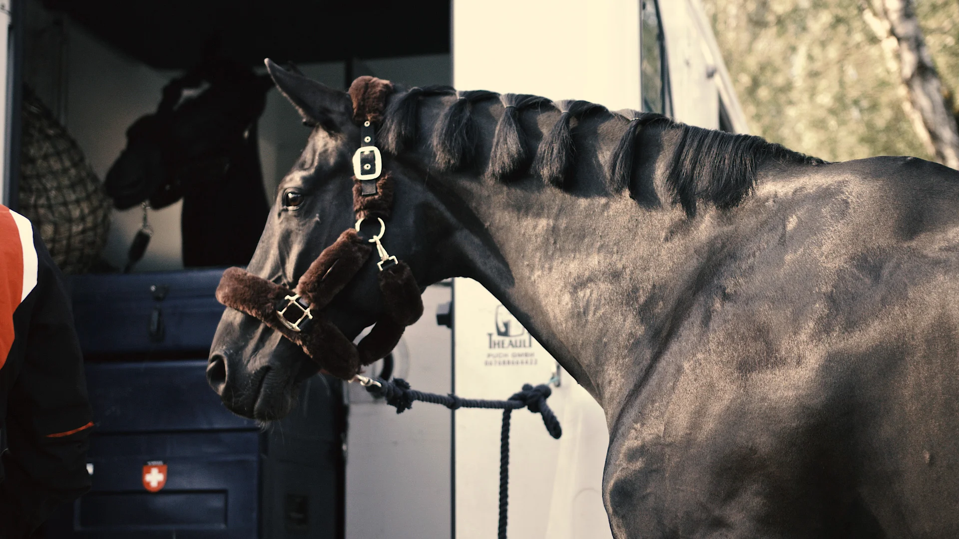 00-para-equestrian-dressage-003.jpg