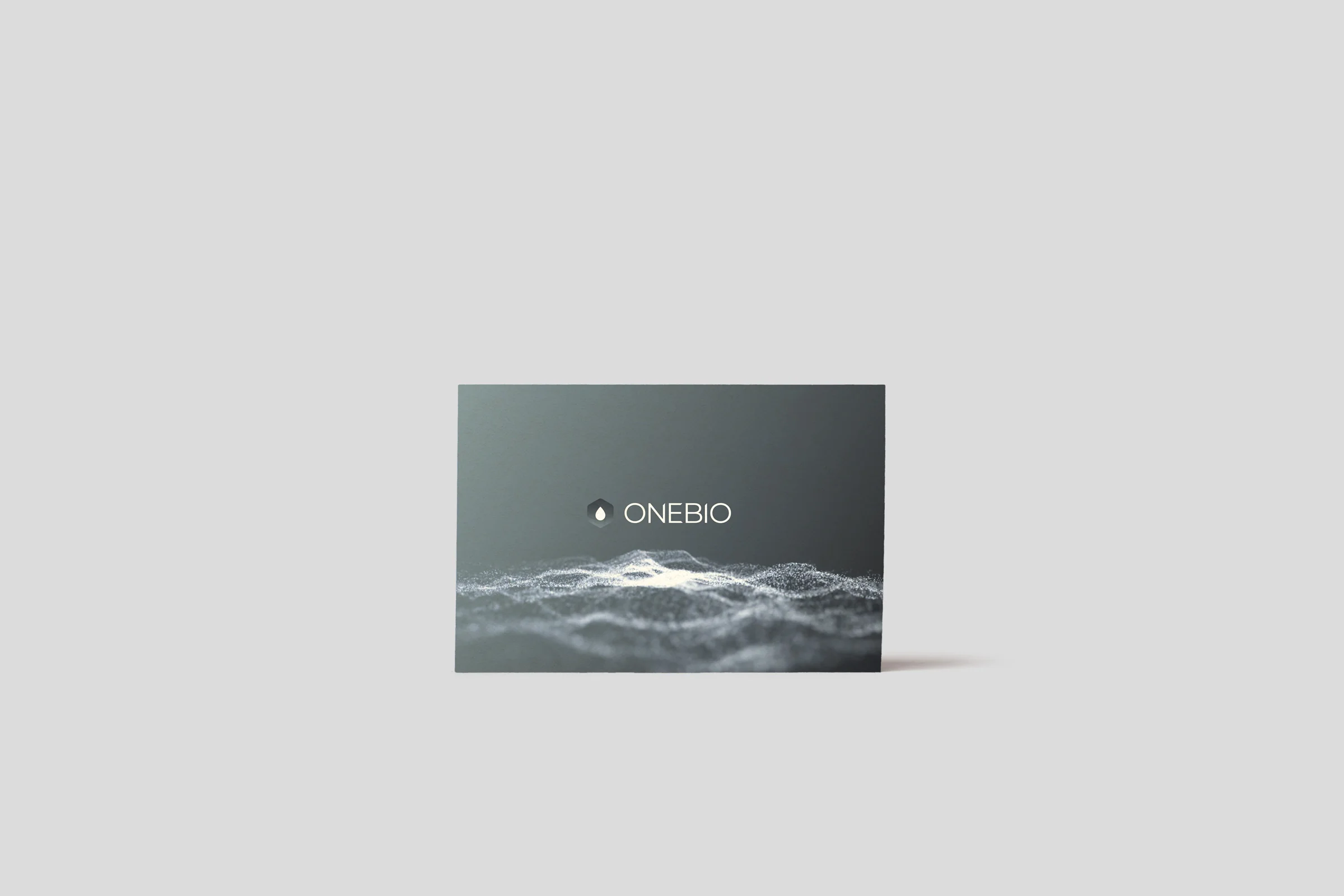 kfd-schnyder-stationery-a.jpg