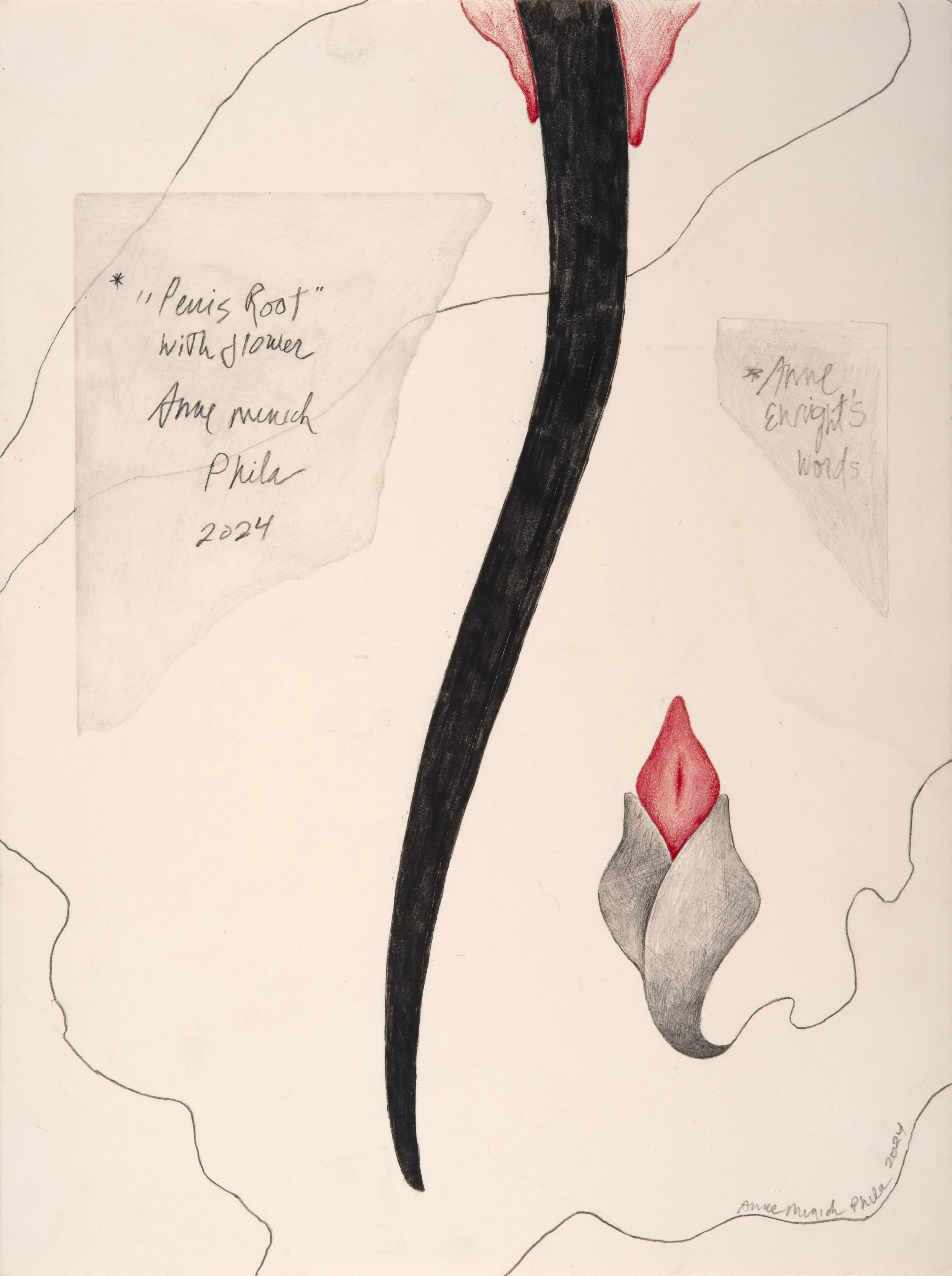 PENIS ROOT WITH FLOWER