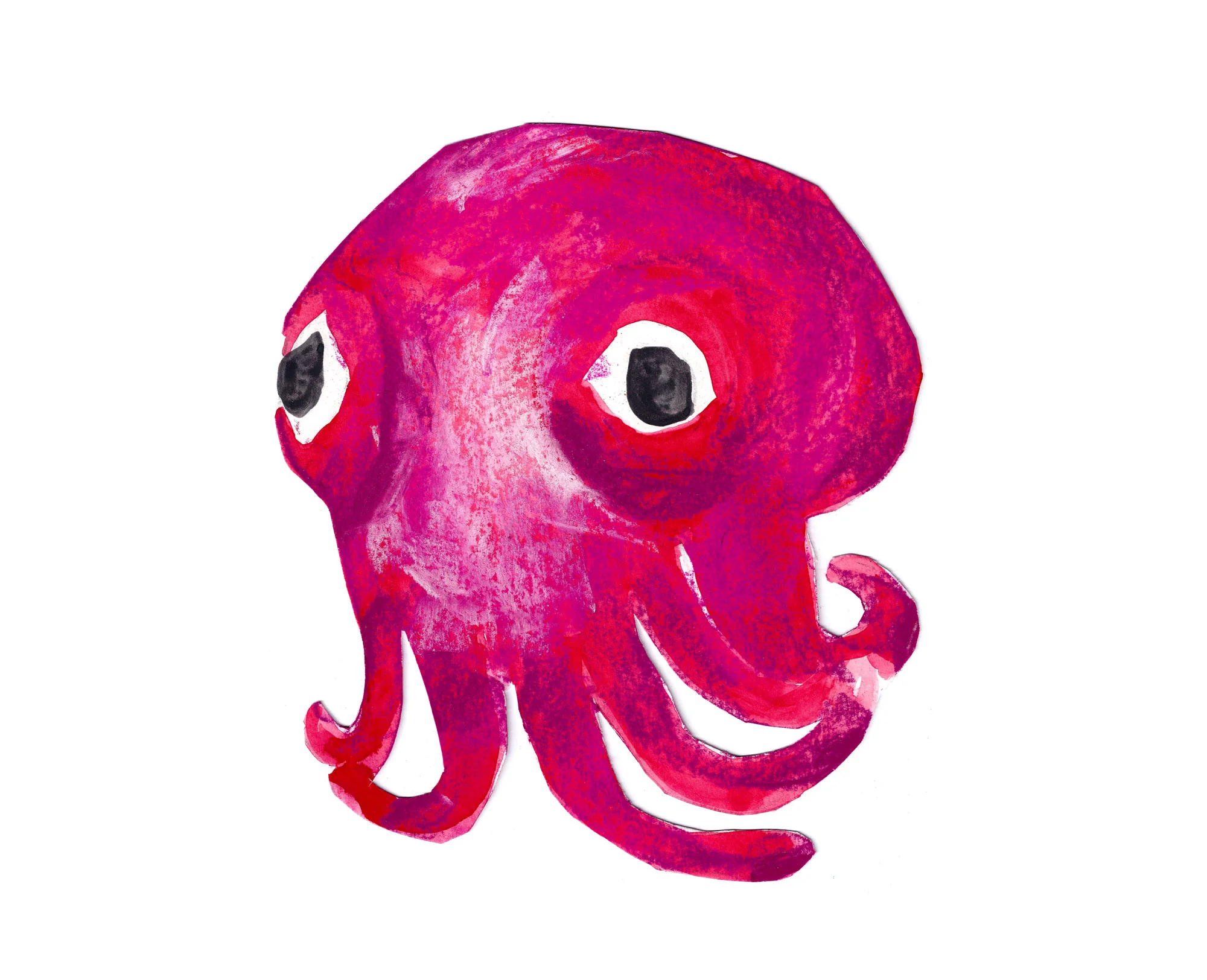 Stubby_Squid_6000x6000.jpg
