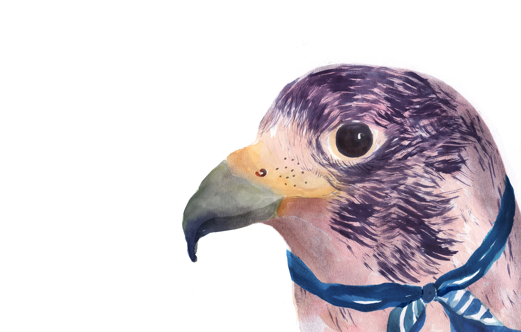 Bird.jpg