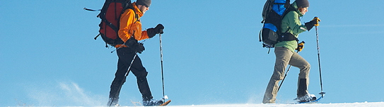 Snowshoeing.jpg
