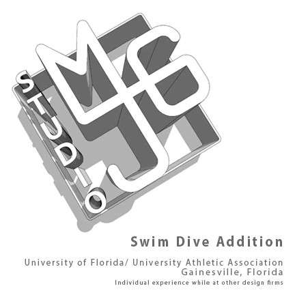 MJG-web-intro-swim-dive.jpg