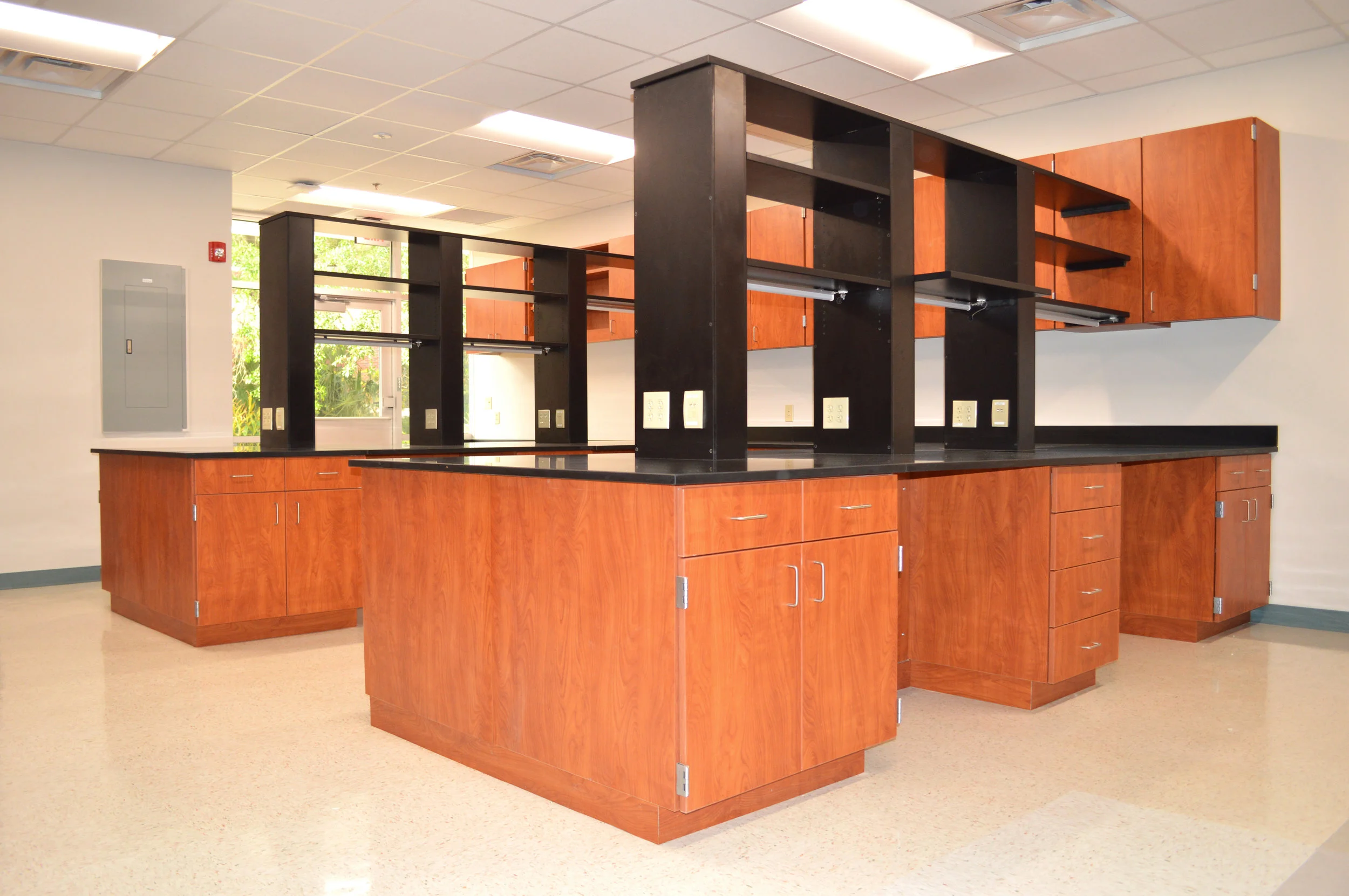IFAS 1291 - 4.jpg