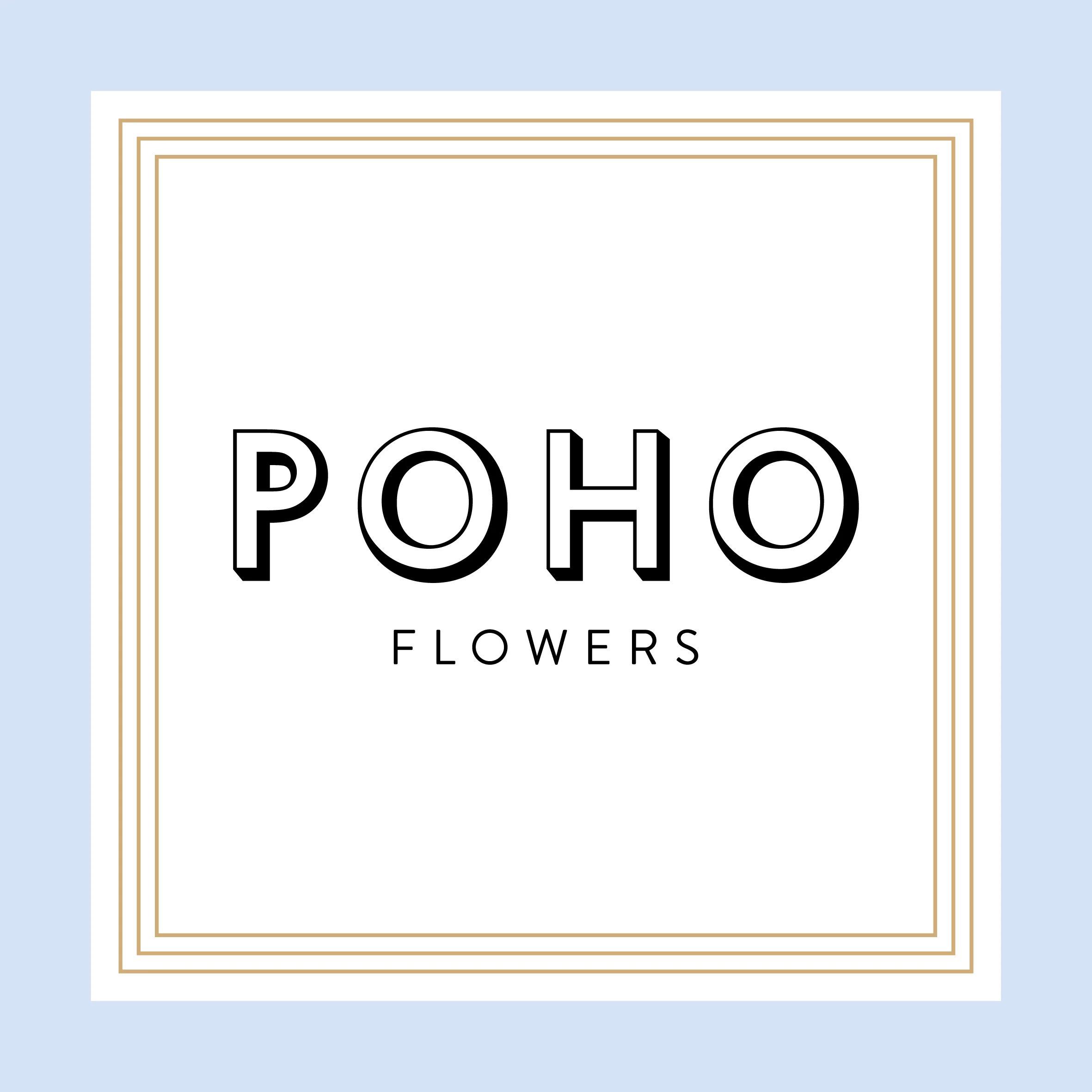 POHO_200mm.jpg