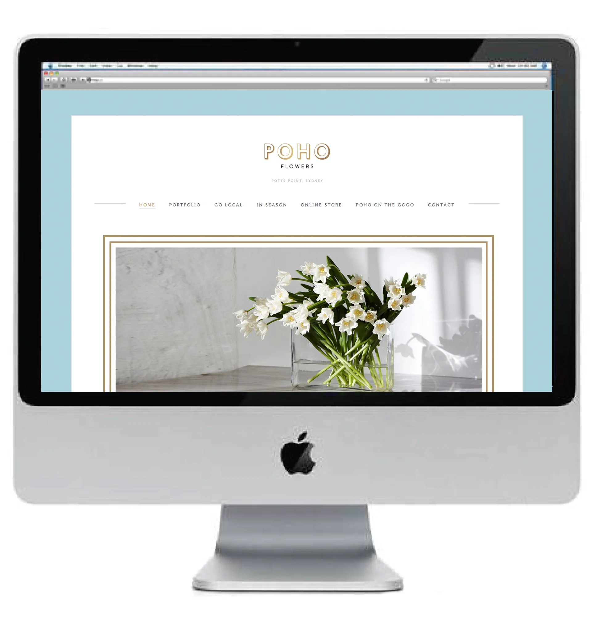 POHO WEB SCREEN.jpg