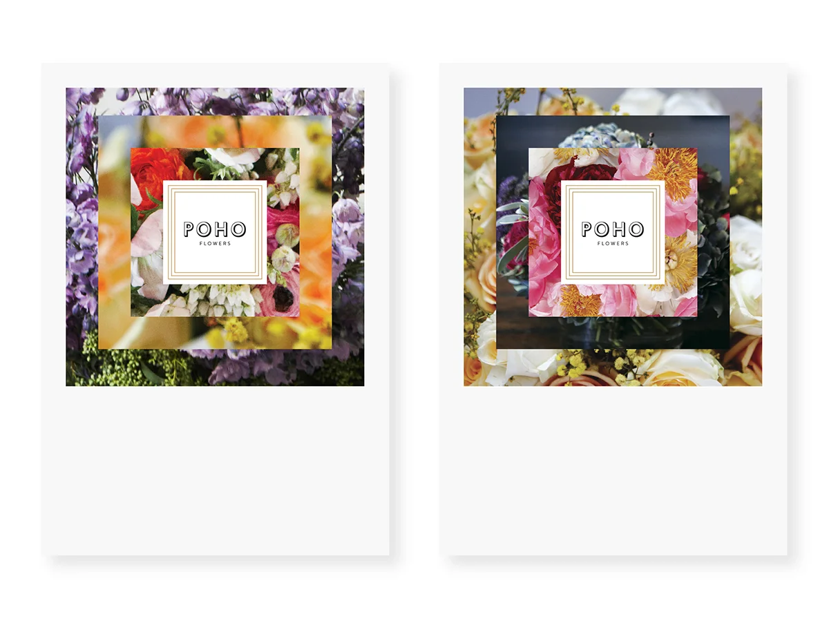 POHO_concentric_pk_1200.jpg