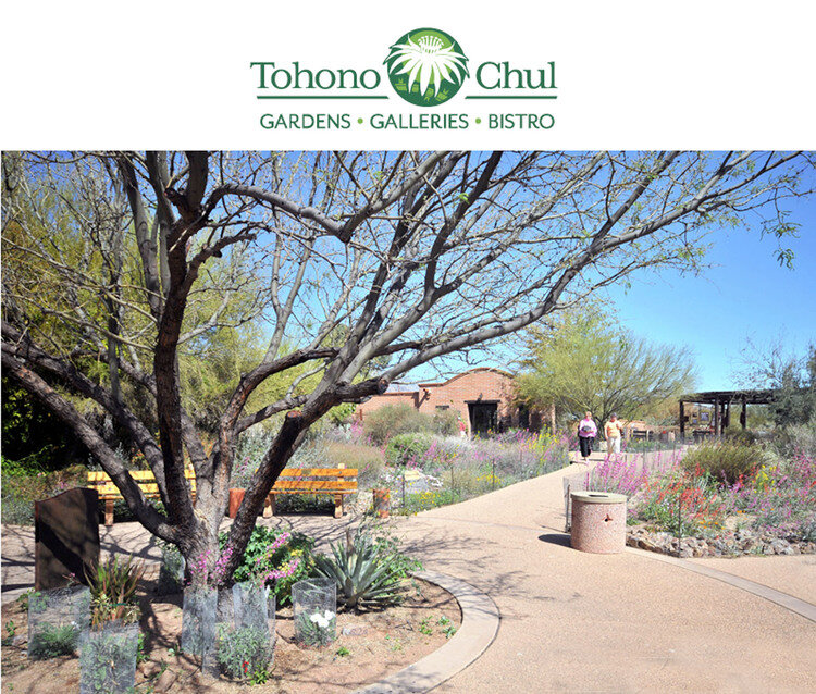 Tohono+Chule.jpg