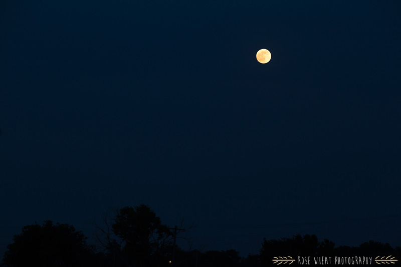 37.+wedding_supermoon_june_2013.jpg