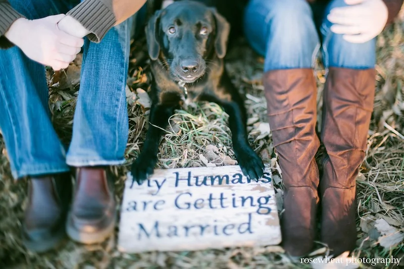 ADManhattanKSEngagement17-1.jpg