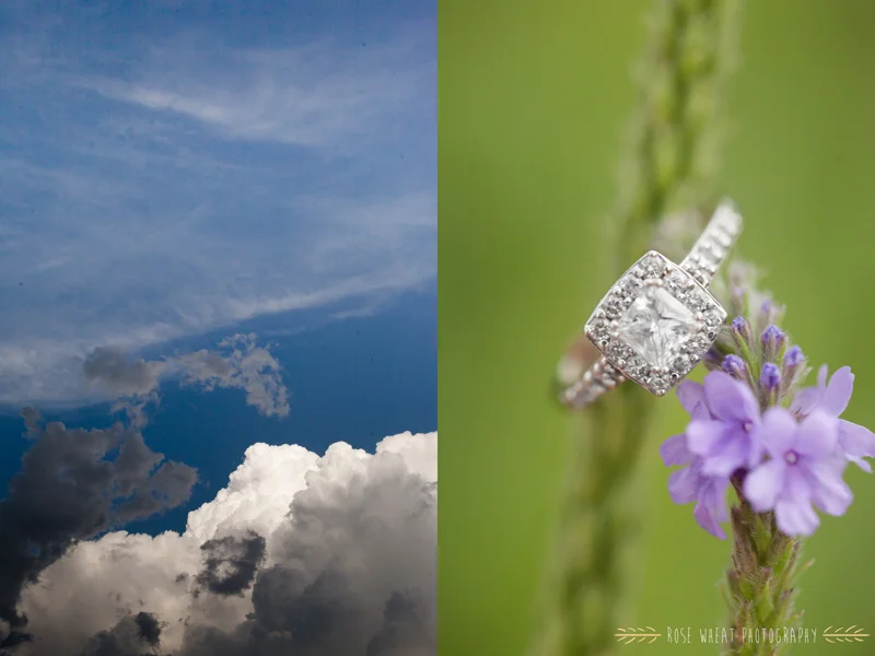 15. 100mm_Macro_Canon_Ring_Shot.jpg