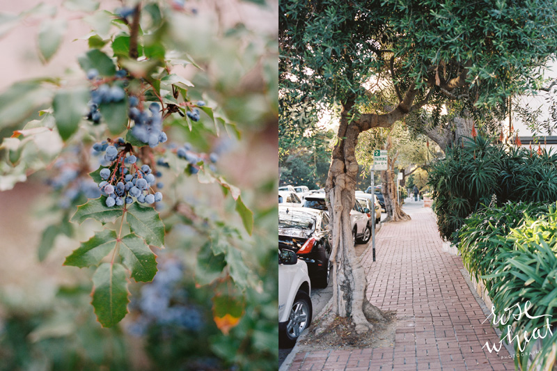 13. Carmel_napa_mamiya_645_pro_tl_kodak_portra_400.jpg