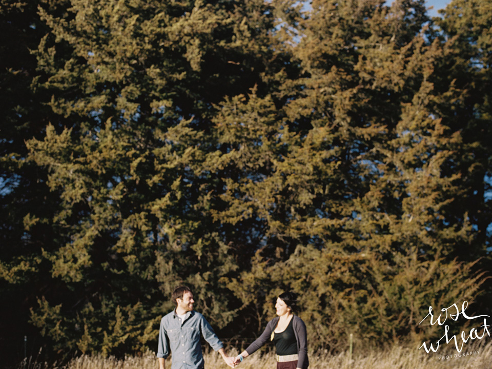 16.AT_medium_format_film_mamiya_645_pro_tl_kodak_portra_400_rose_wheat_photography.jpg