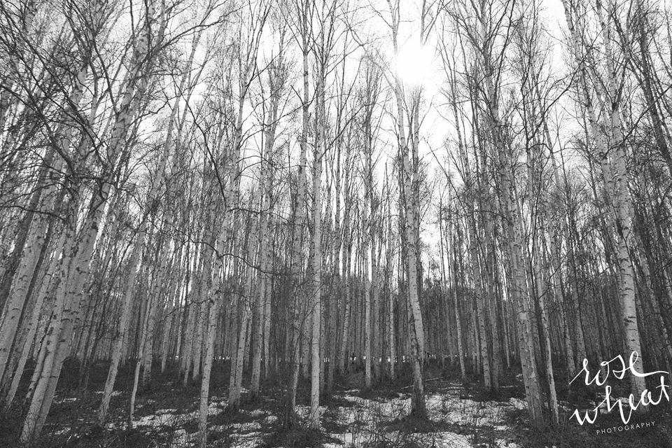 Chena Lakes Recreation Area River Park