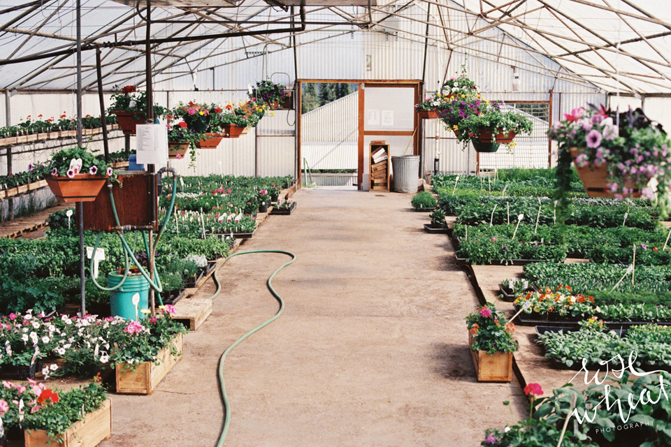 19. Ann's_Greenhouses_Fairbanks_alaska.jpg