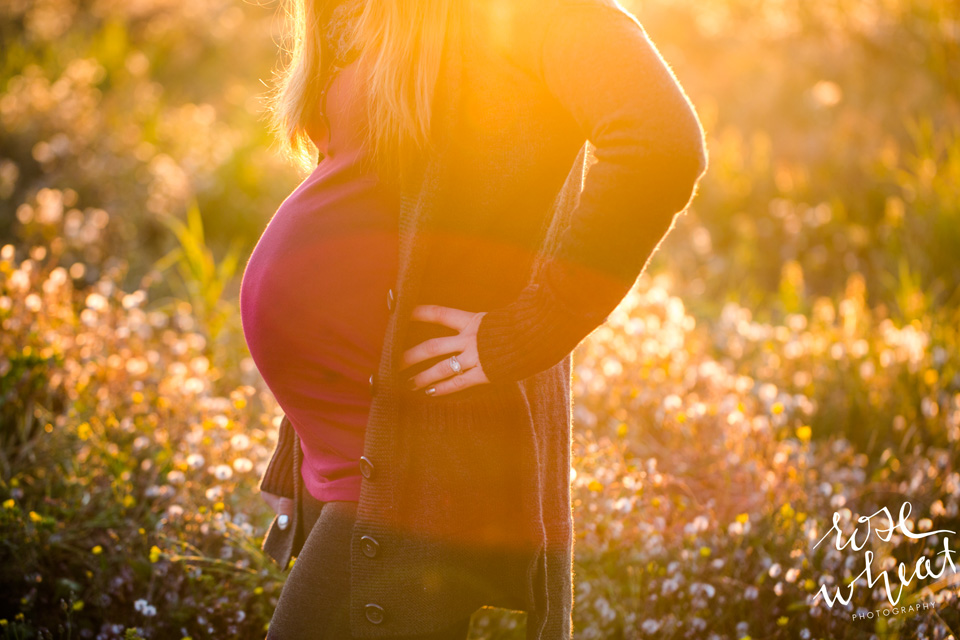 18. Lauren_Wedgewood_resort_Fairbanks_Maternity-3.jpg
