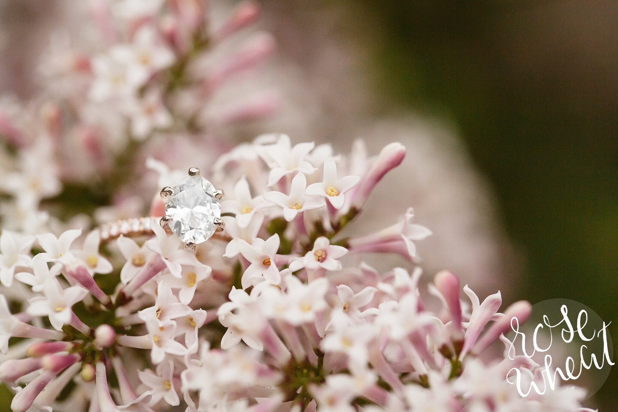 wedding photographers in manhattan ks