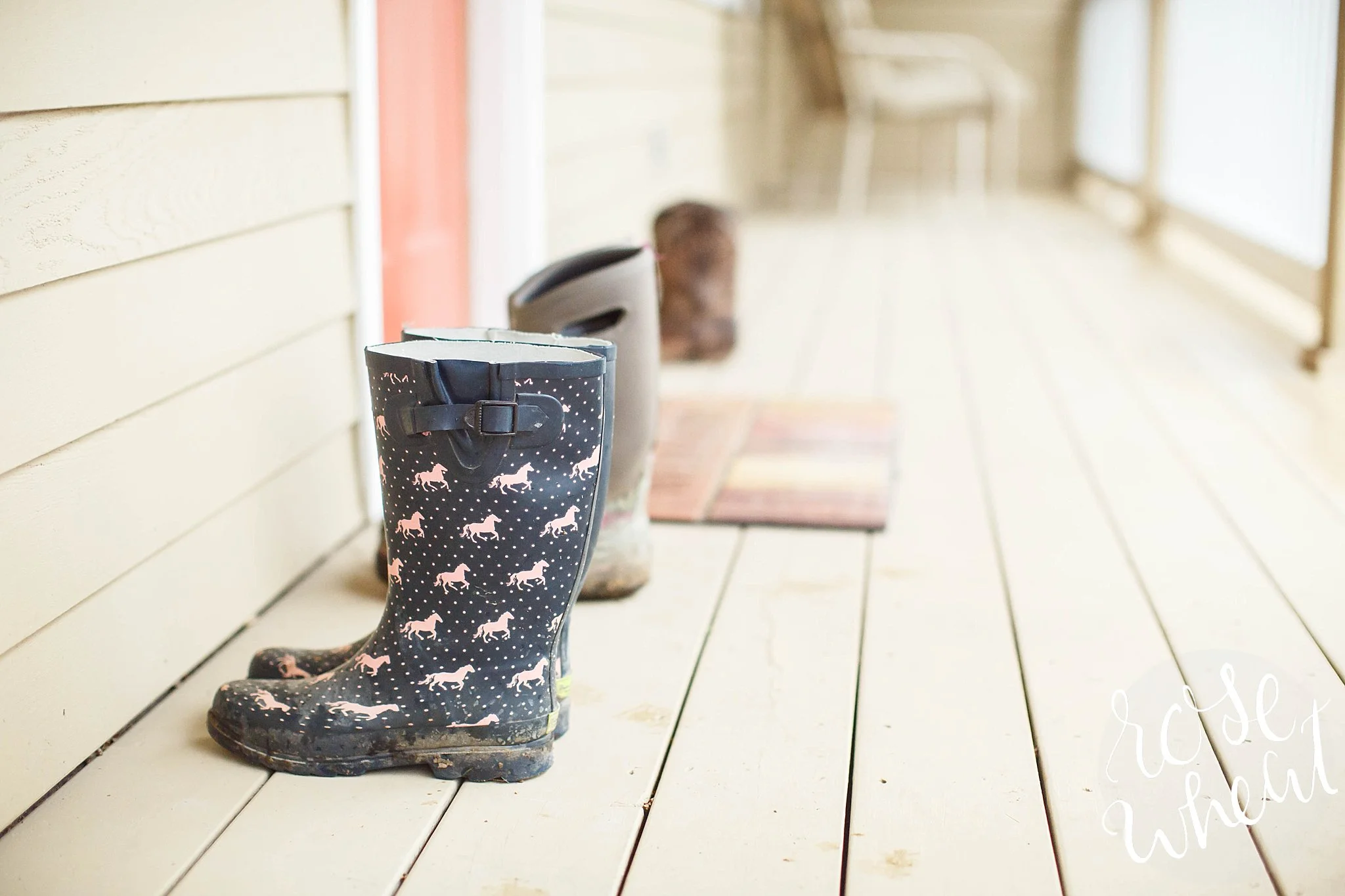 Shelley let me borrow her rain boots to wear in the barn. I made sure to get them nice and muddy for her!