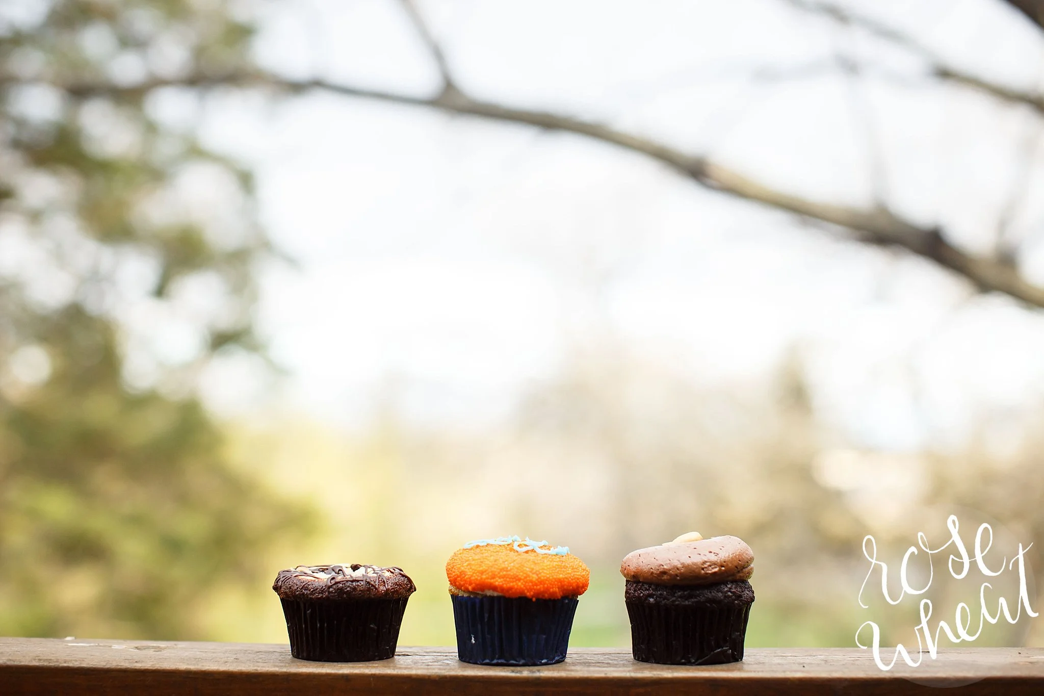 We got some cupcakes from the Mall of America to celebrate Shelley's birthday! Mine (the middle one that reads "Yay!") was vanilla filled with chocolate mousse. Heavenly!
