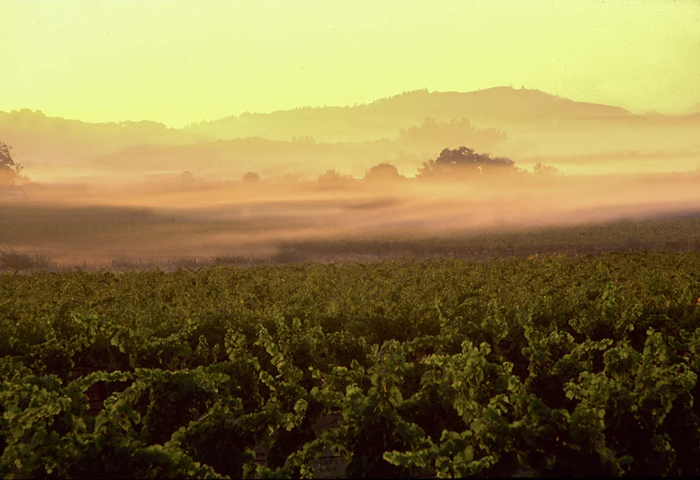 Ground fog