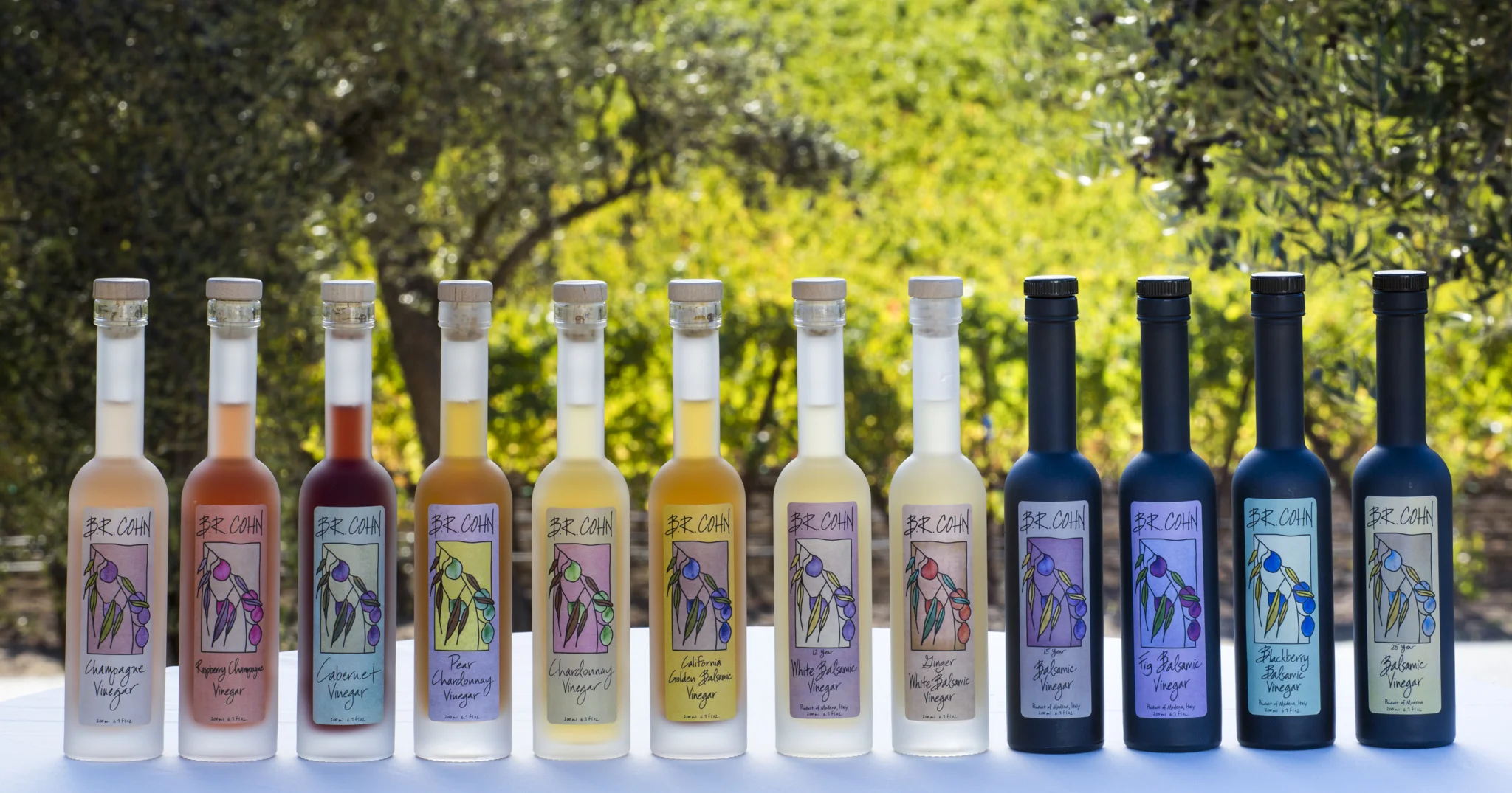 B. R. Cohn Olive Oils