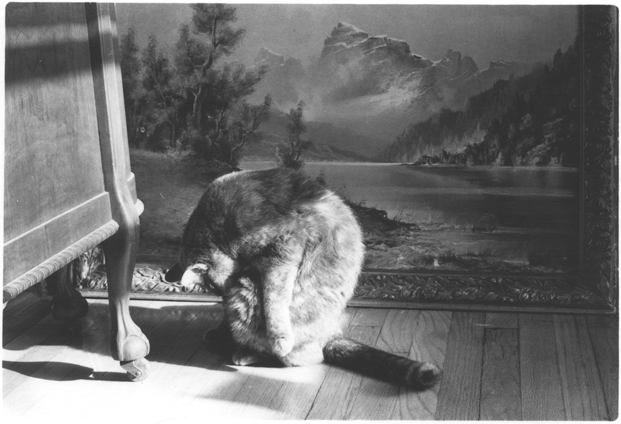 Tone Poem No. 26 Gelatin Silver Fiber Print 4 x 2.5 inches 2014