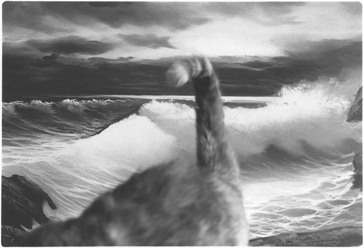 Tone Poem No. 1 Gelatin Silver Fiber Print 4 x 2.5 inches, Edition of 10 2013