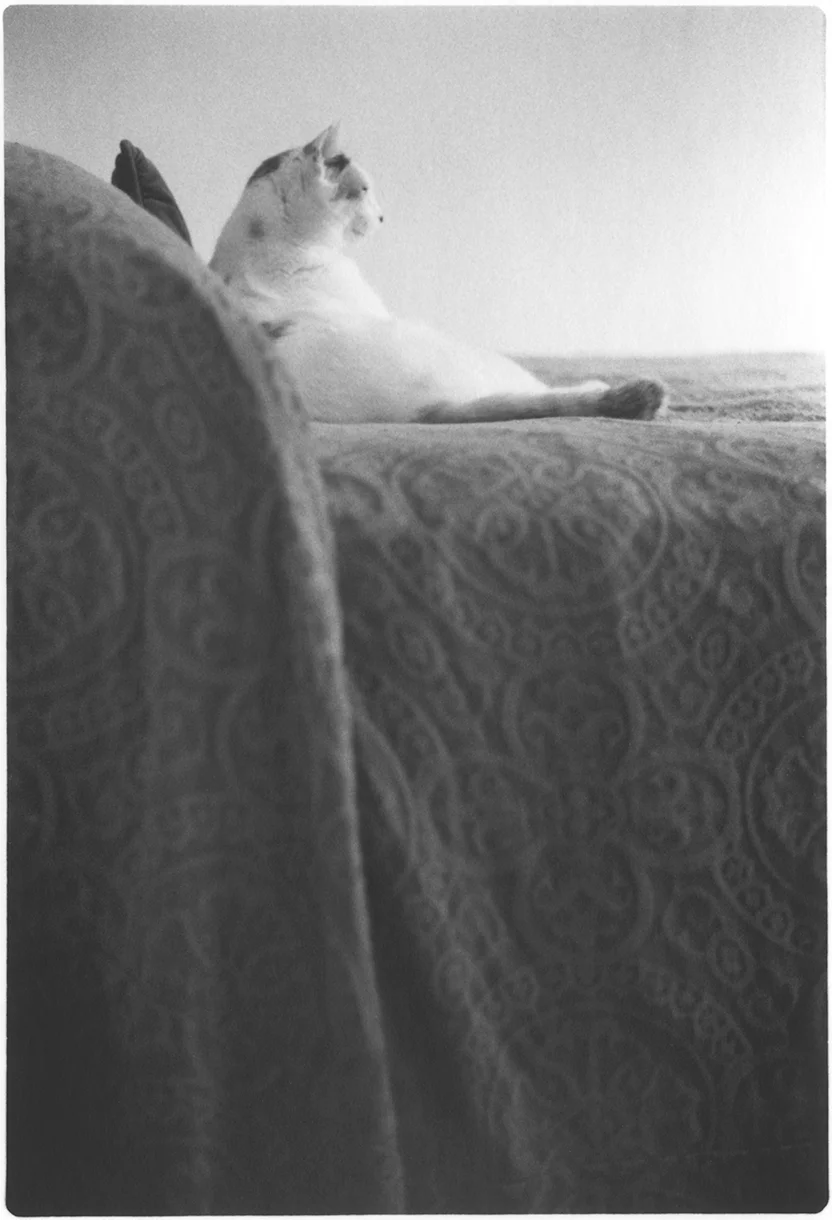 Tone Poem No. 3 Gelatin Silver Fiber Print 4 x 2.5 inches, Edition of 10 2013