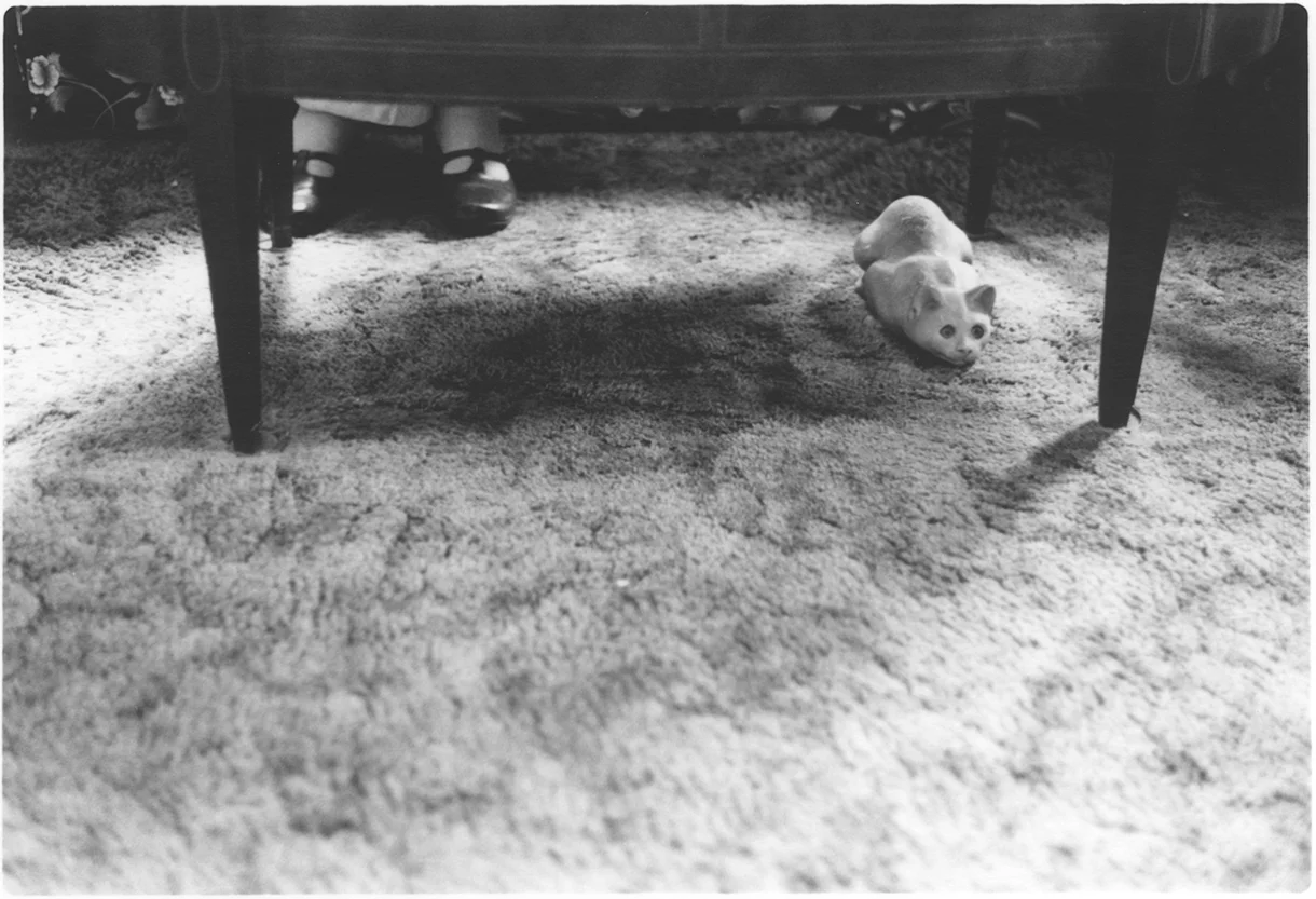Tone Poem No. 19 Gelatin Silver Fiber Print 4 x 2.5 inches, Edition of 5 2014