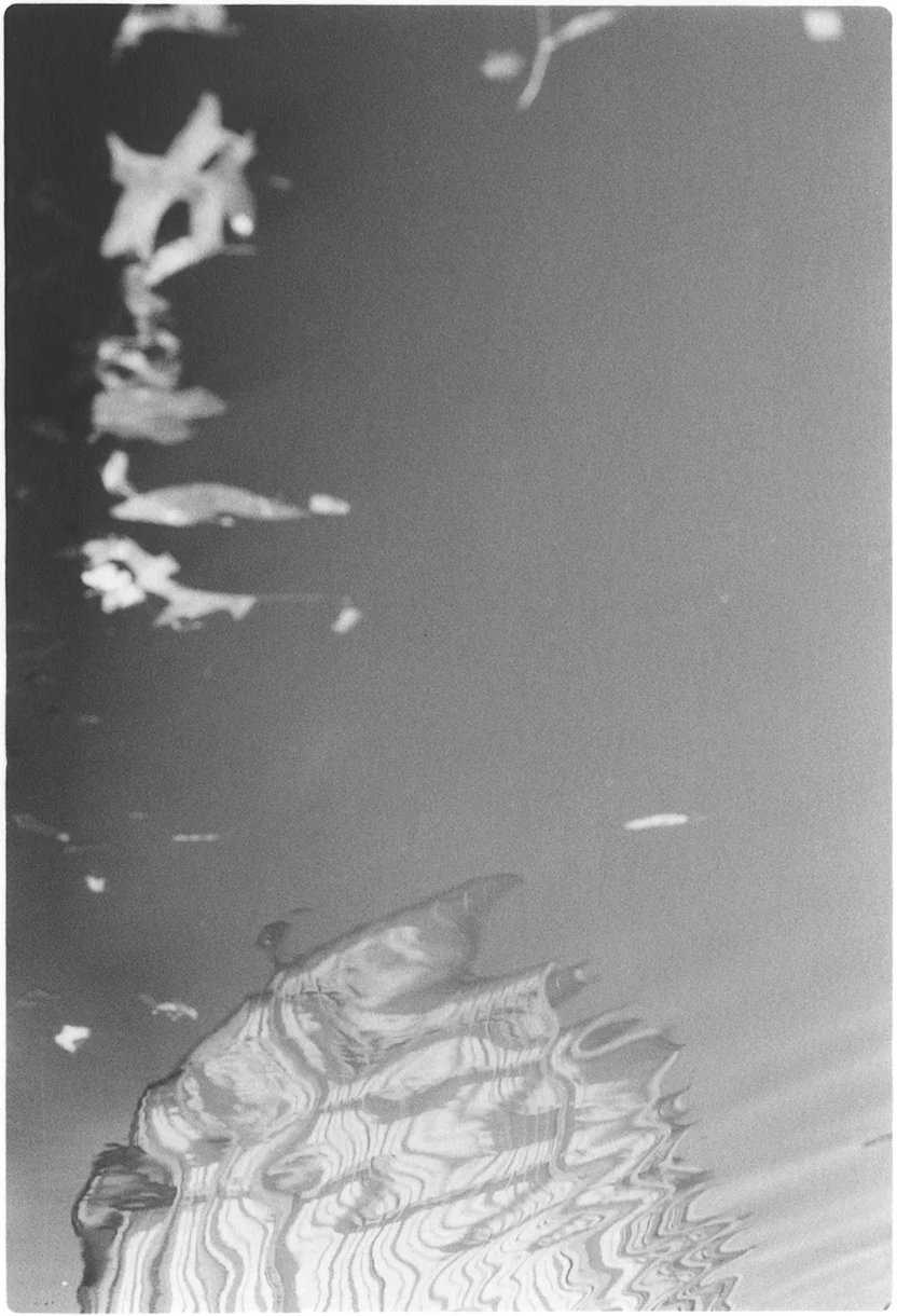 Tone Poem No. 7 Gelatin Silver Fiber Print 4 x 2.5 inches, Edition of 4 2014