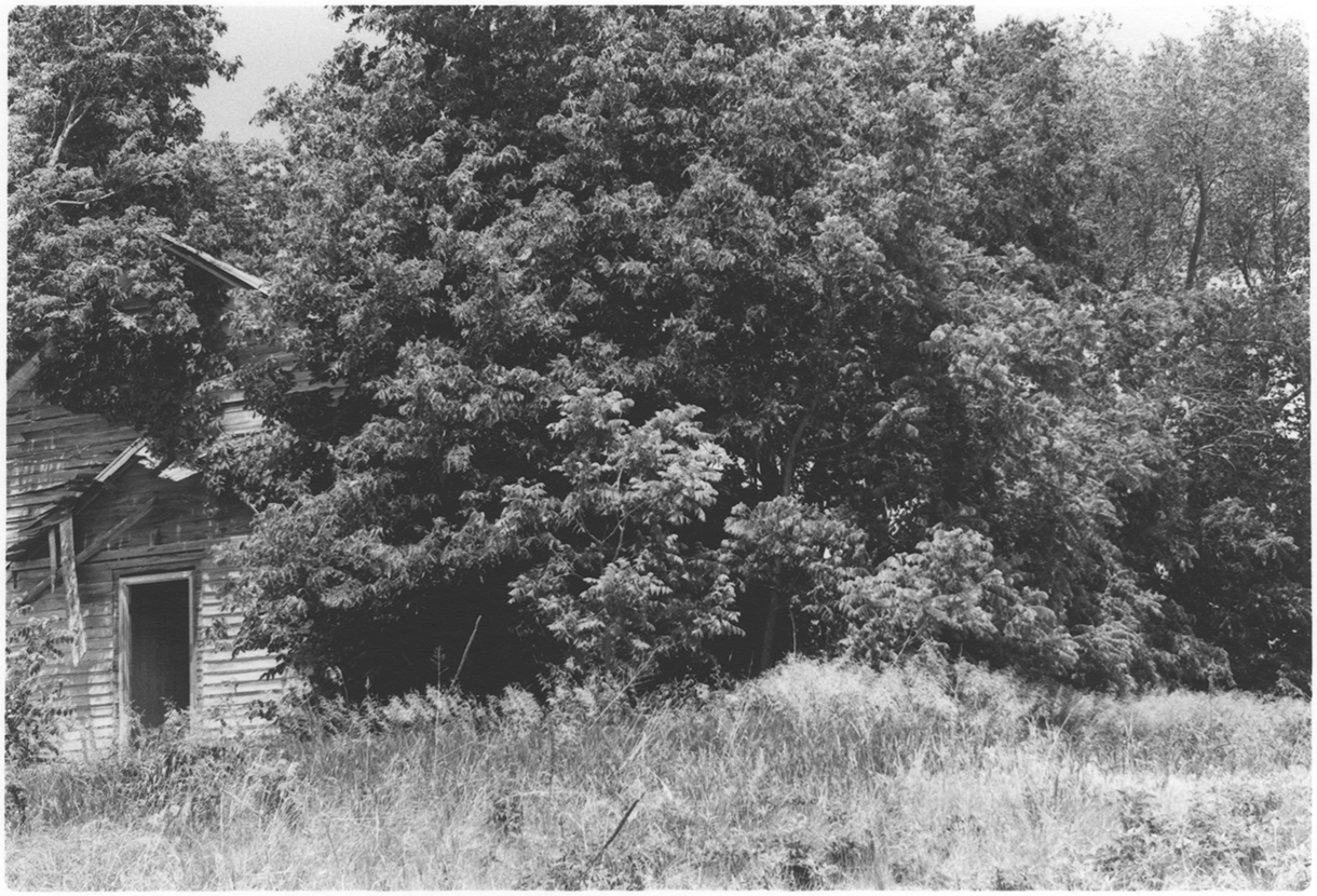 Tone Poem No. 22 Gelatin Silver Fiber Print 4 x 2.5 inches, Edition of 5 2014