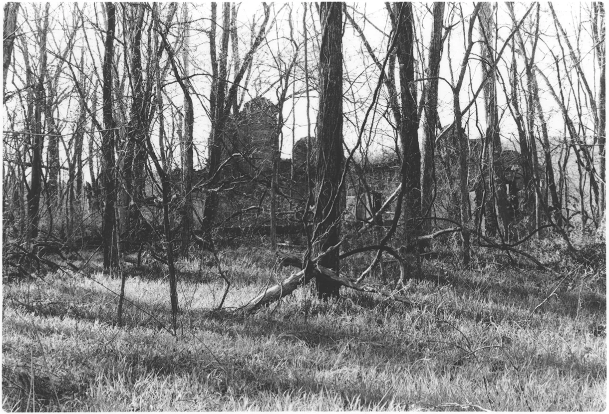 Tone Poem No. 17 Gelatin Silver Fiber Print 4 x 2.5 inches, Edition of 4 2014