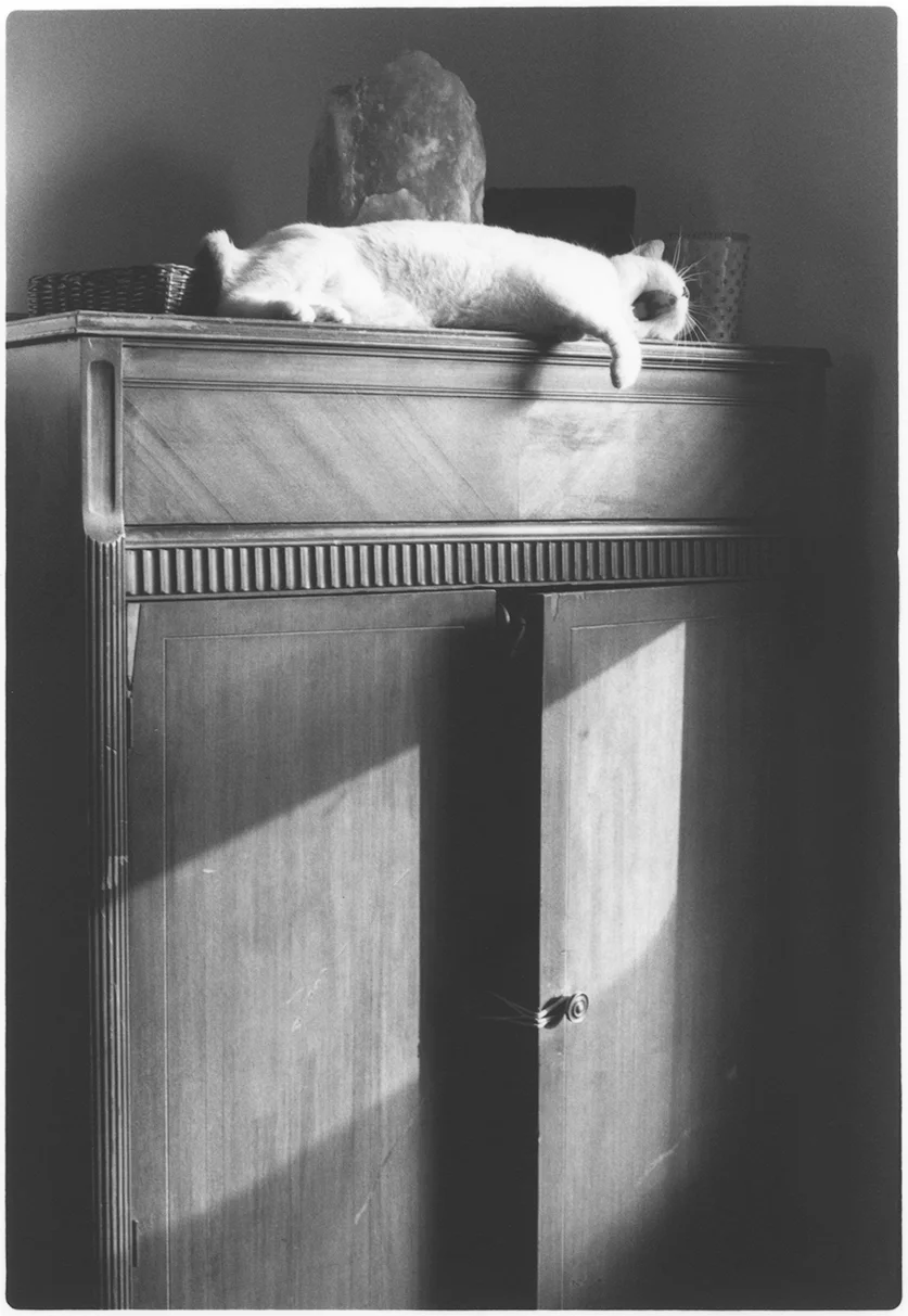 Tone Poem No. 35 Gelatin Silver Fiber Print 4 x 2.5 inches, Edition of 5 2015