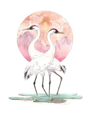 Whooping Crane