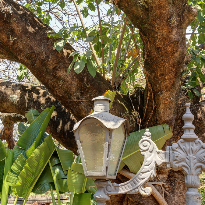 Jardim da Contemplacao 2.jpg