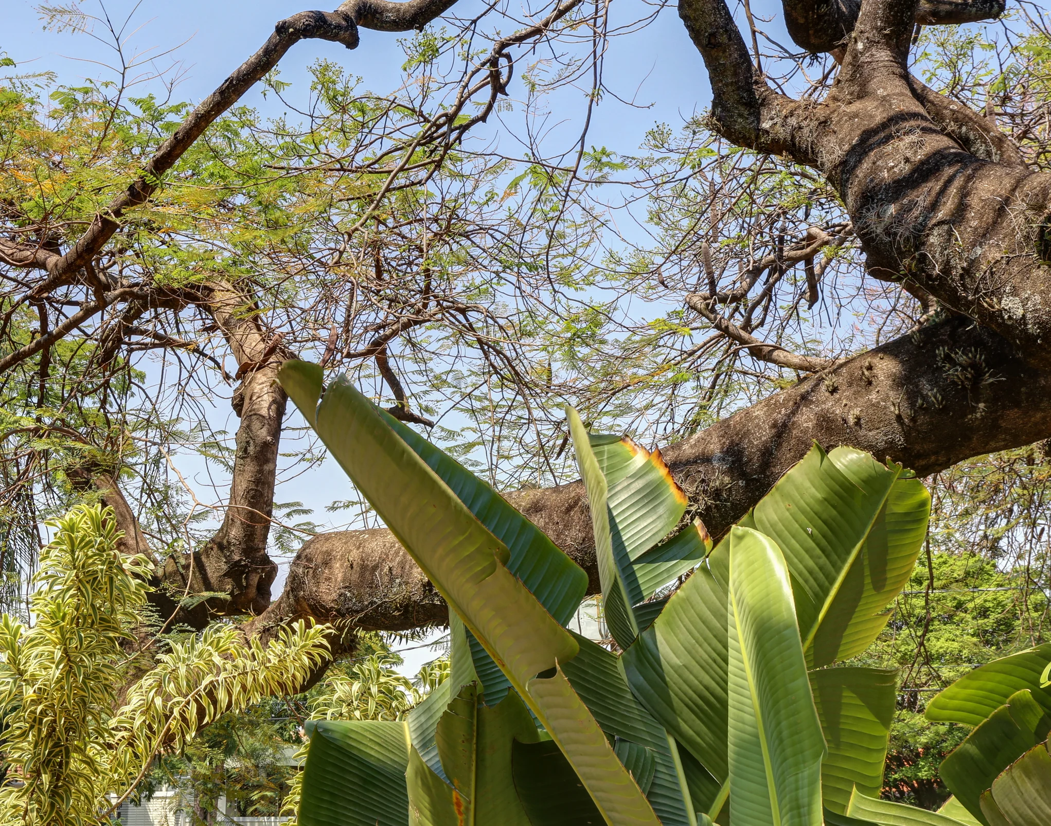 Jardim da Contemplacao 1.jpg