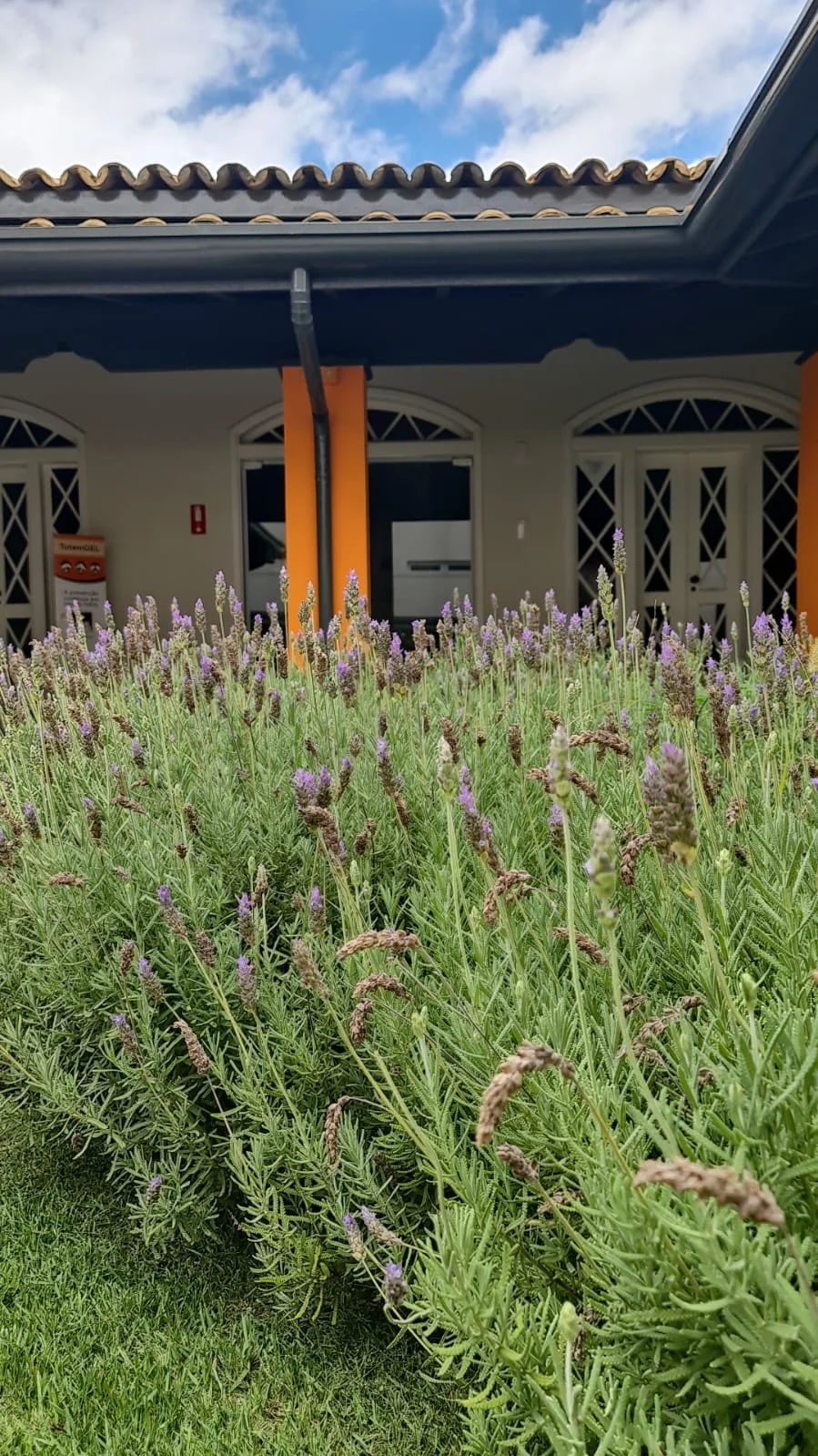 WhatsApp Image 2025-10-14 at 20.34.12.jpeg