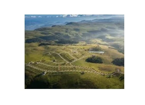 Por que avaliar um terreno antes de construir? Um olhar da Geobiologia - Coluna Geobiologia por Thais Ayres