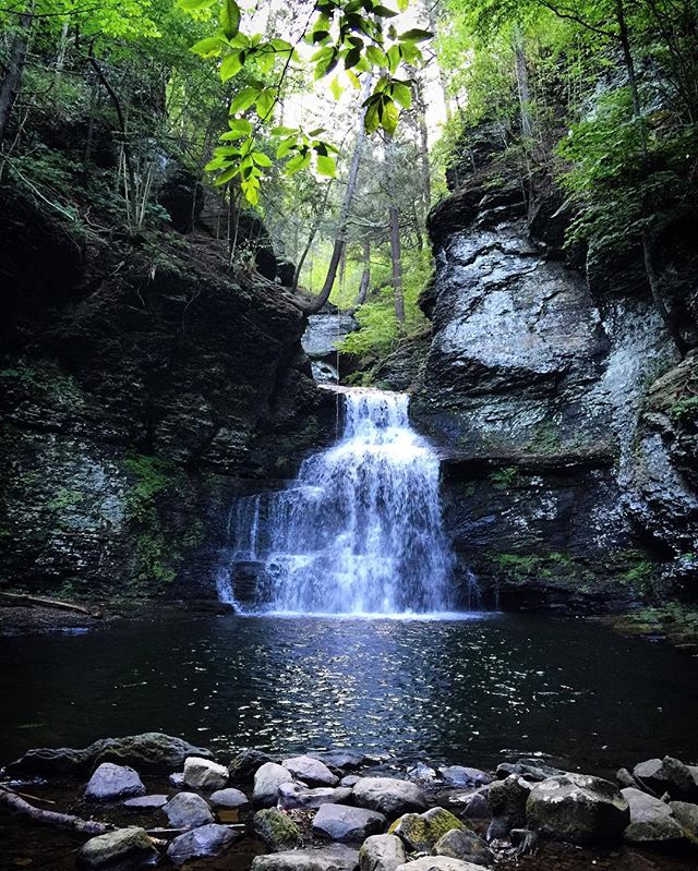 &quot;Two roads diverged in a wood &amp; I took the one less traveled by, and that has made all the difference.&quot; 🍃🌿🍃 #RobertFrost #Dingmanfalls #waterfall #forest #nature #summer #adventure #exploring #hike #pennsylvania