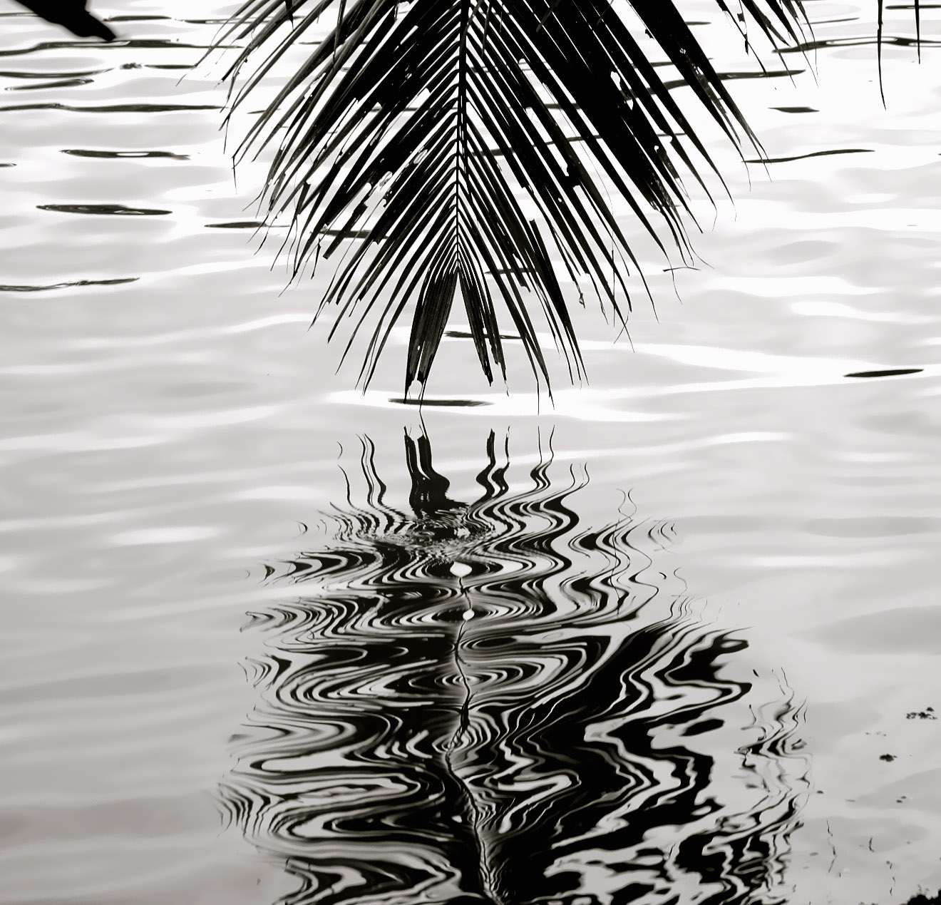  Kerala Backwaters, India 