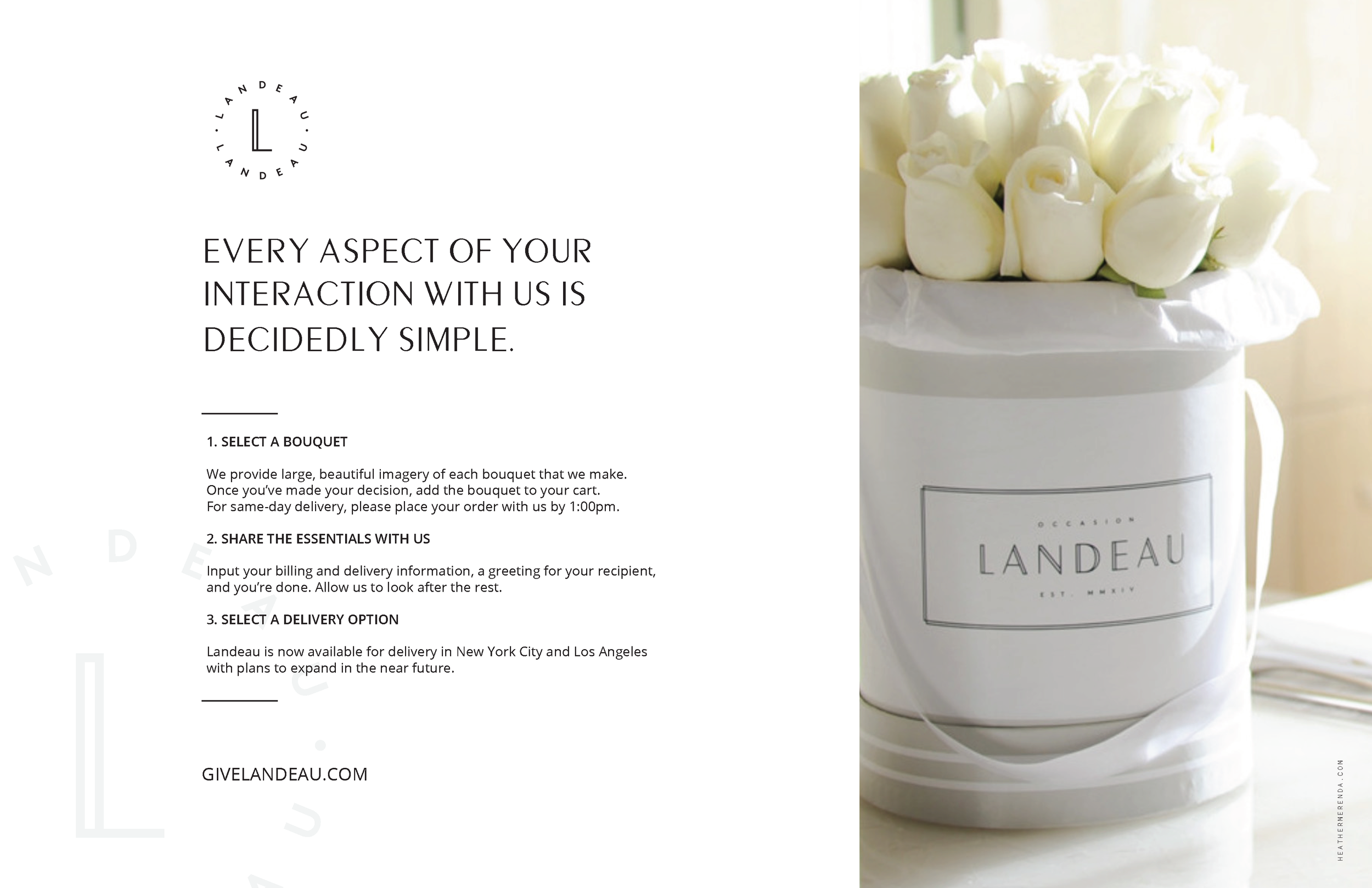LANDEAU: BRAND DEVELOPMENT, ART DIRECTION, COPYWRITING