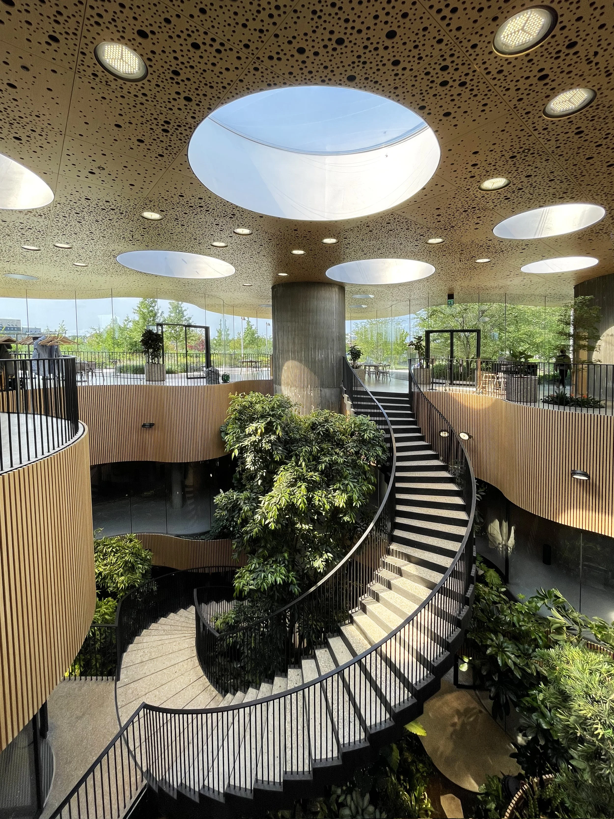 Interior view of a modern building with a spiral staircase, large circular skylights in the ceiling, greenery, and wooden panel walls.