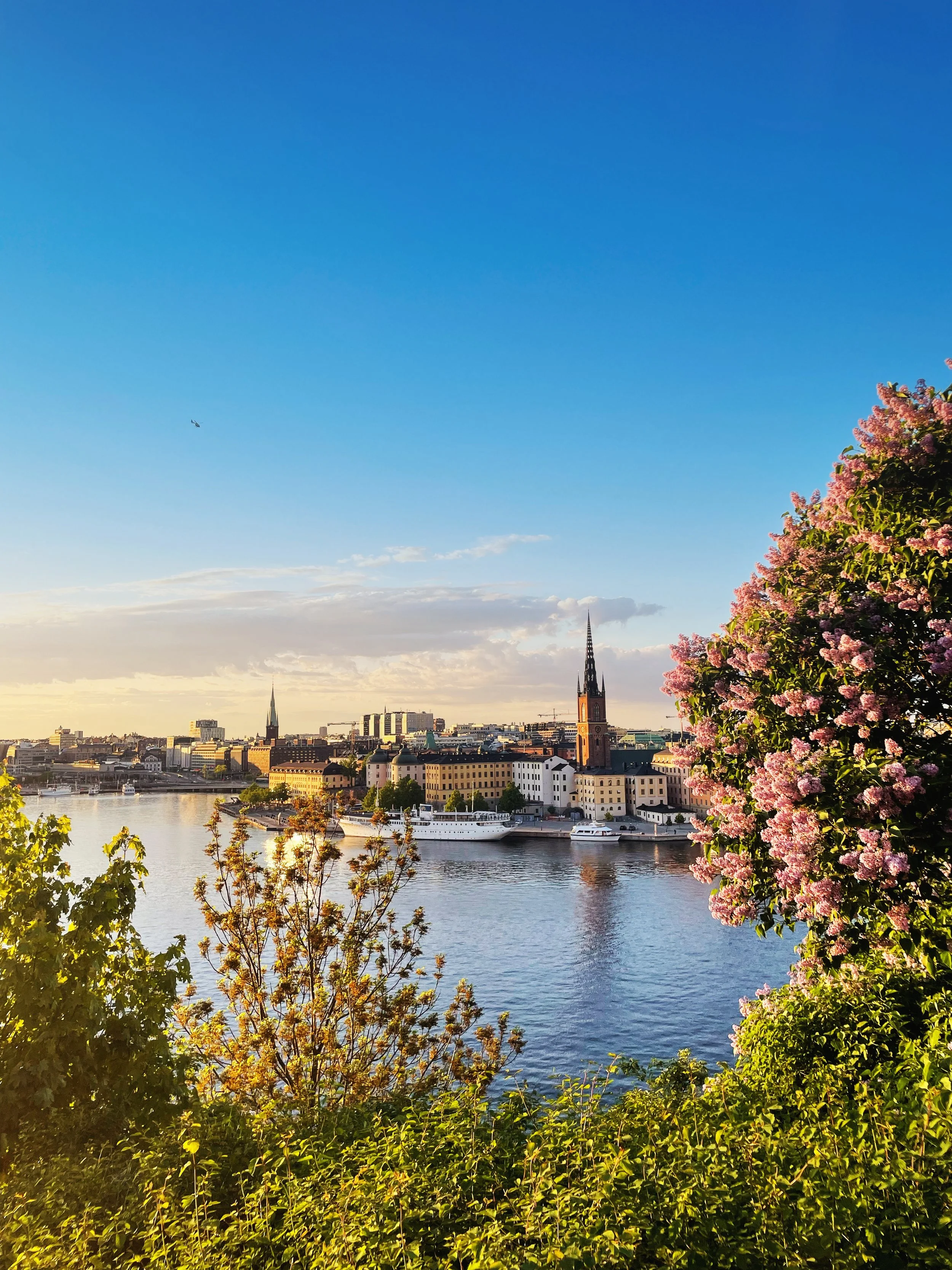A scenic view of a city skyline along a river with boats, pink flowering trees, green bushes, and blue sky with some clouds.