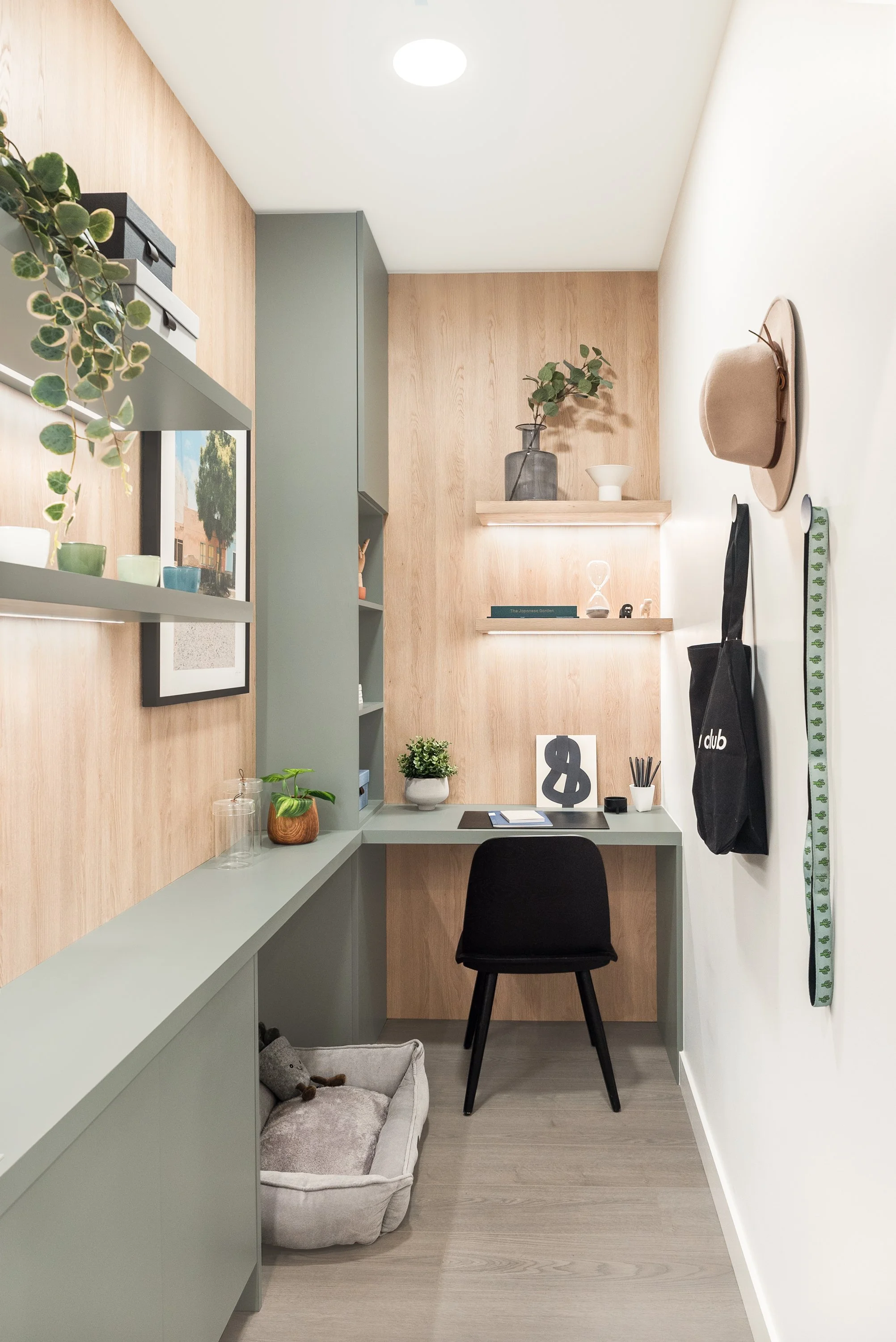 Small home office with light green and wood accents, a black chair, a desk, decorative plants, shelves with objects, and wall hooks with accessories.